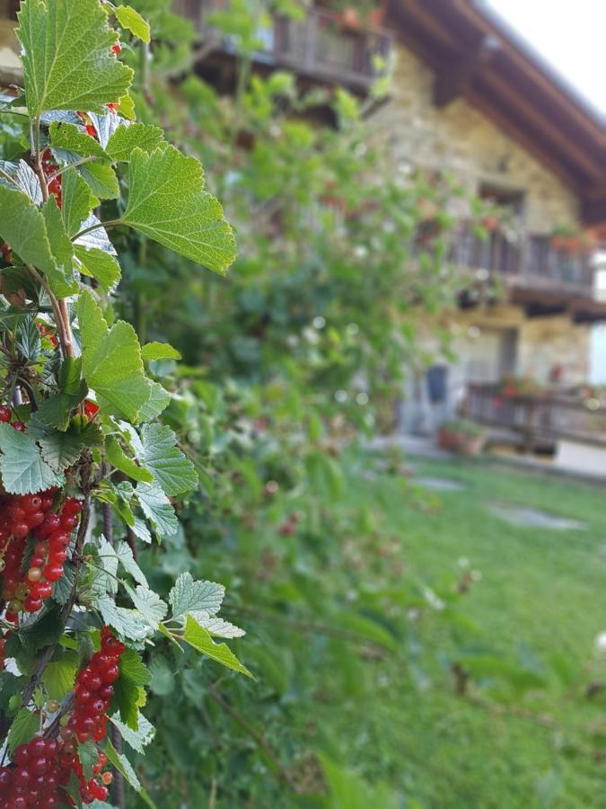 Agriturismo La Clochette Торньон Екстериор снимка